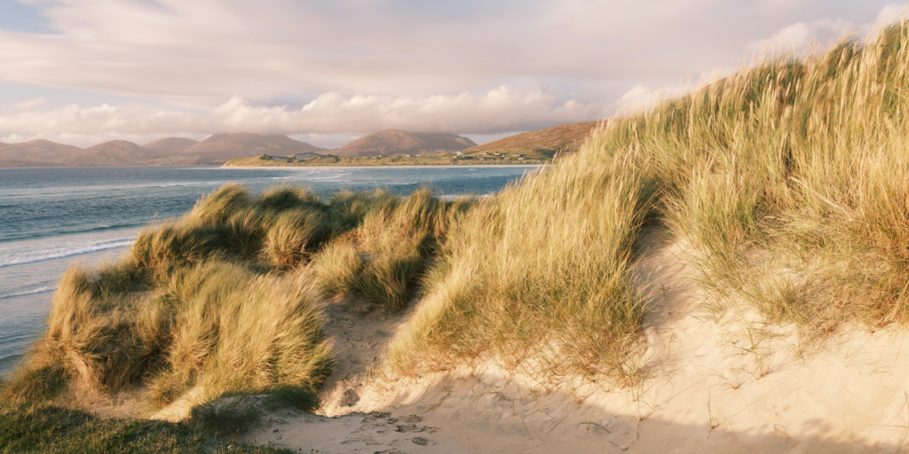 isle of harris by Nils Leonhardt - landscape of see and reeds 